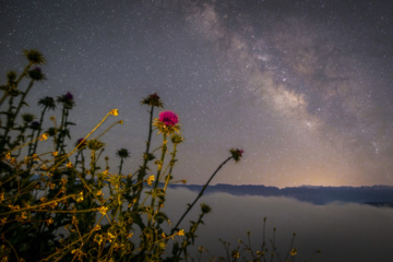 En el corazón de la noche..