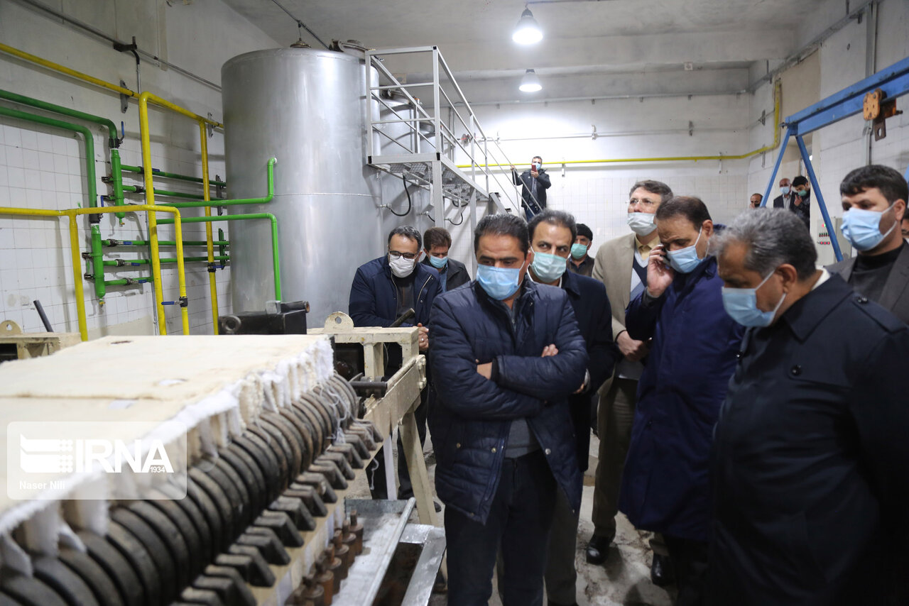 استاندار قزوین از یک واحد تولید روغن زیتون در طارم سفلی بازدید کرد