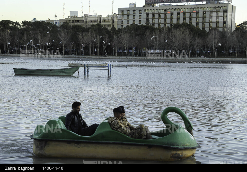 میزبانی زاینده رود از پرندگان مهاجر