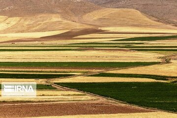 مزایای سنددار کردن زمین‌های کشاورزی باید به اطلاع مردم رسانده شود