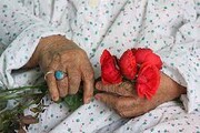 بیش از ۱۹هزار سالمند زنجانی تحت حمایت کمیته امداد استان هستند