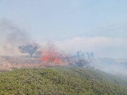 منابع‌طبیعی آزادشهر در باره آتش‌سوزی عرصه‌های طبیعی هشدار داد