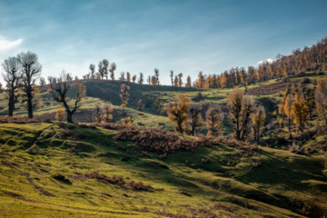 پاییز دشت مرکوه