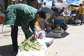 بازار گياهان خوراكي در مهاباد