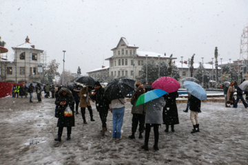 Iran-décembre 2024 : chutes de neige d’automne à Rasht au nord (Photo : Mojtaba Mohammadi)