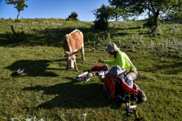 Balades et randonnées en pleine nature dans le nord de l’Iran 