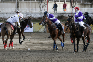 Coupe Lotus de la Ligue Nationale de polo