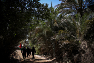 Arbaeen walk; Divaniyeh to Kufa route