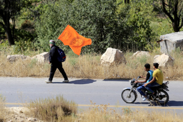 زائران پیاده حرم رضوی