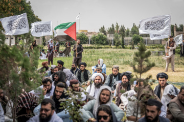 Kabul protesters condemn Haniyeh assassination