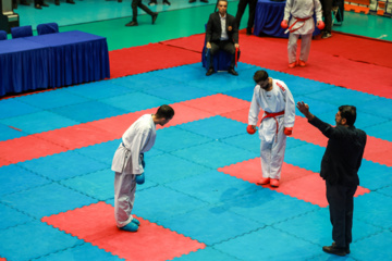 Competencias de Superliga de Karate de clubes iraníes 