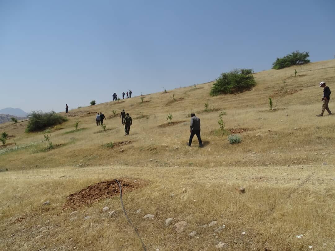 ۲۴ هزار متر مربع زمین ملی در باشت از دست سودجویان خارج شد