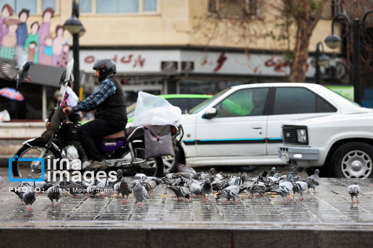 باران پائیزی در تهران