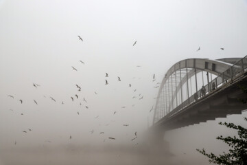 Brouillard et brume ce matin à Ahvaz dans le sud de l’Iran