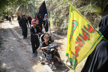 Marche d'Arbaeen:  route de Divaniyeh