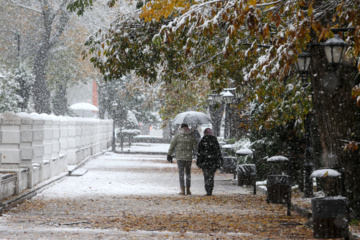 Iran-décembre 2024 : chutes de neige d’automne à Rasht au nord (Photo : Mojtaba Mohammadi)