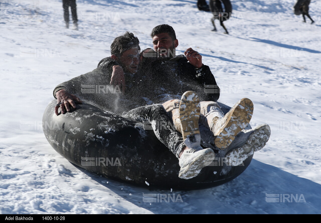 برف بازی در همدان