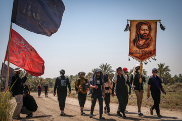 Arbaeen walk; Divaniyeh to Kufa route