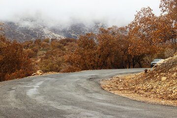 طبیعت پائیزی کوهستان