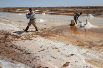 برداشت سنتی نمک