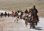 عشایر امسال بیمه رایگان می‌شوند