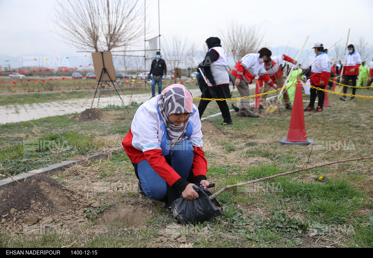 آغاز عملیات اجرایی باغ شهدای ایران