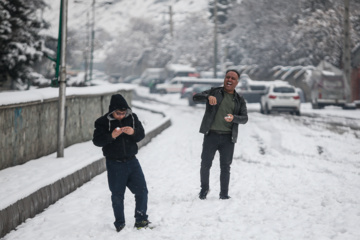 بارش برف در تهران