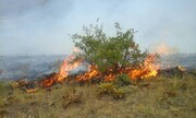 ۱۵ منطقه بحرانی آتش سوزی در منابع طبیعی همدان شناسایی شد
