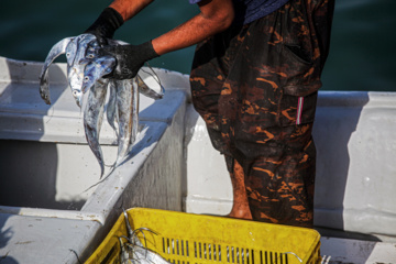 Le port de pêche de Kong au sud de l'Iran