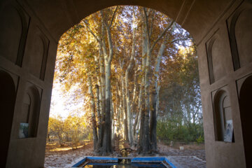 Autumn leaves in Pahlavanpur Garden