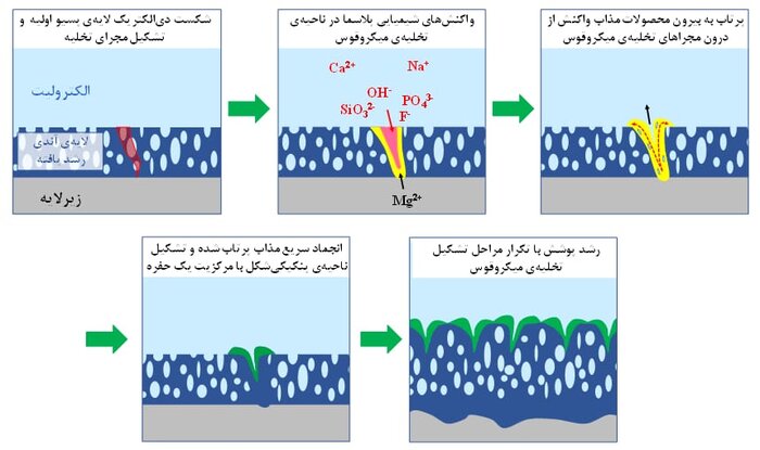 ایجاد ‌پوشش‌های زیست‌فعال روی آلیاژ منیزیم توسط محققان دانشگاه صنعتی امیرکبیر