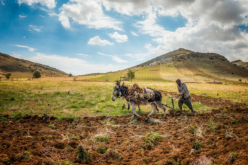 زندگی روستایی