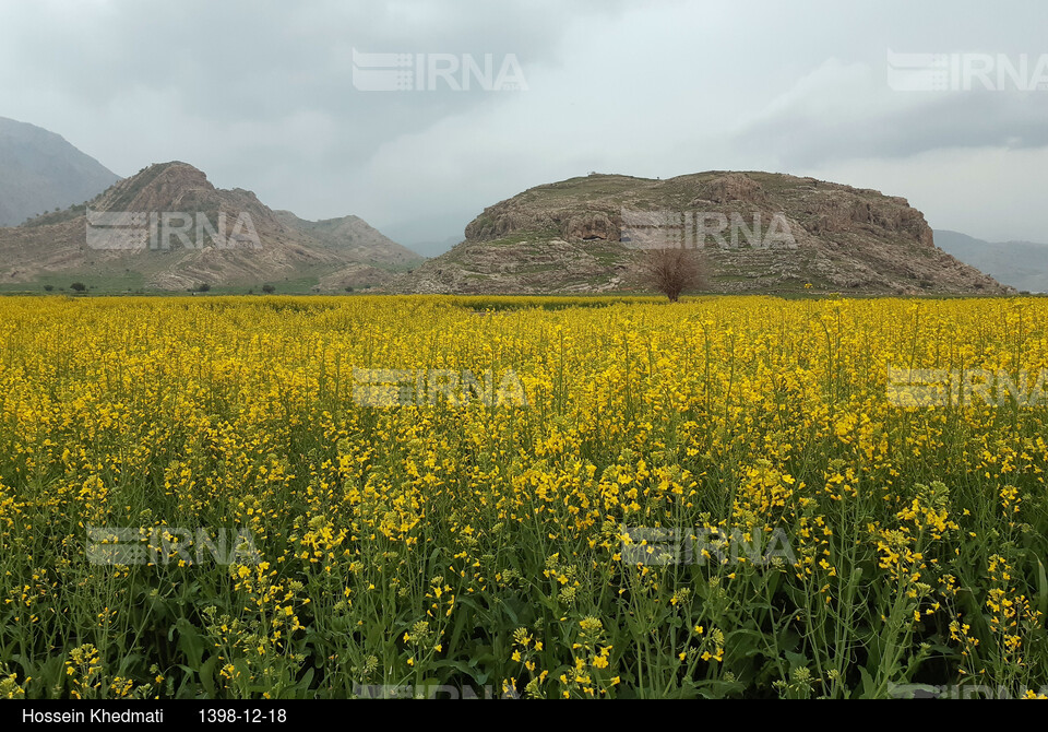 دیدنیهای ایران - کهگیلویه و بویر احمد