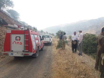 آتش سوزی منطقه حفاظت شده بوزین و مرخیل پاوه