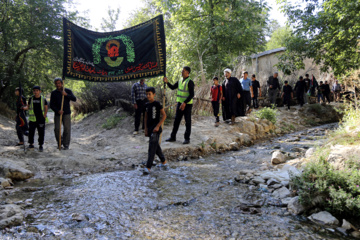 زائران پیاده حرم رضوی