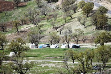 چادرزنی مردم در طبیعت بهاری ایلام