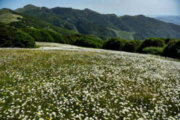 Balades et randonnées en pleine nature dans le nord de l’Iran 