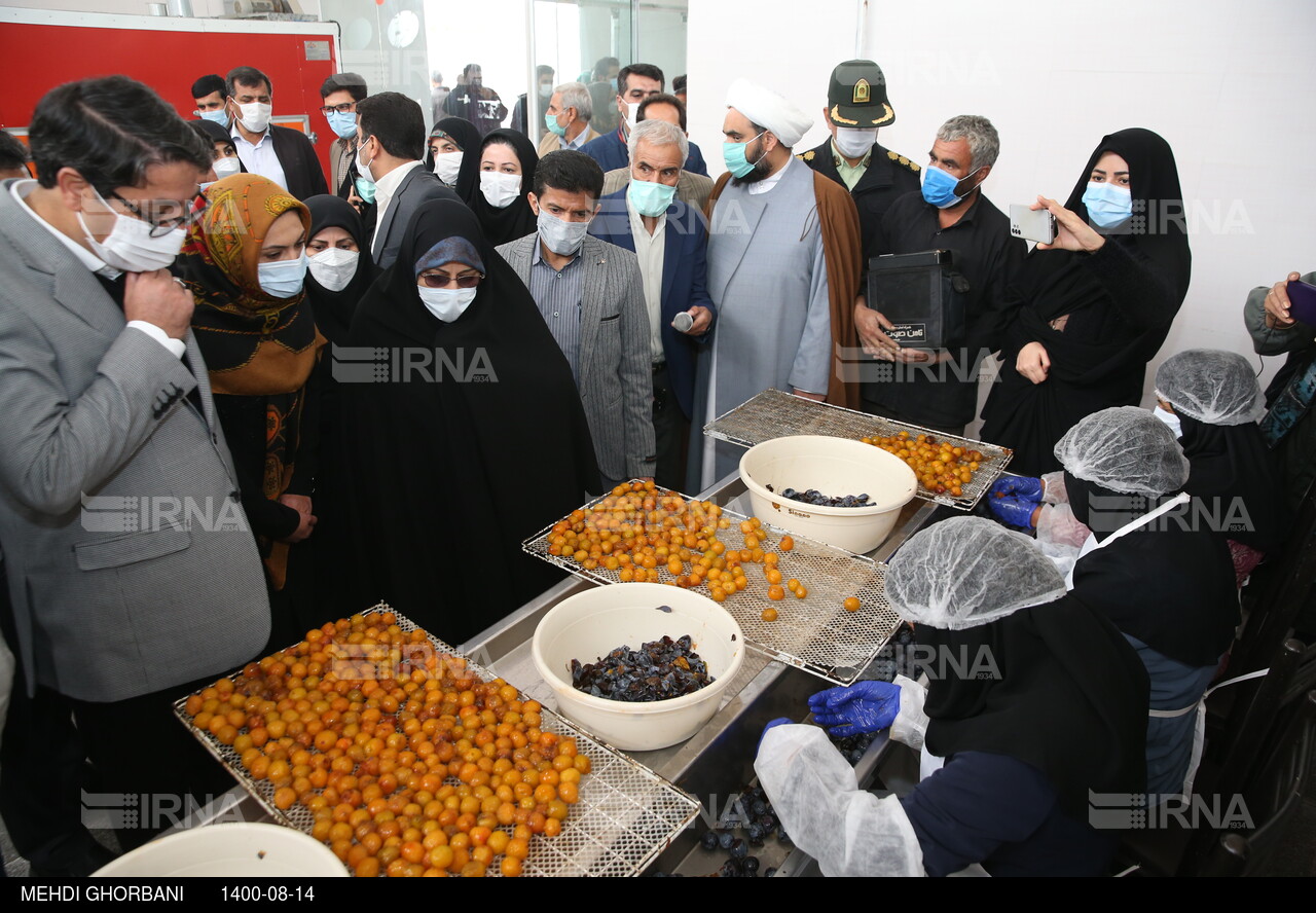 سفر معاون امور زنان رییس جمهوری به خراسان رضوی