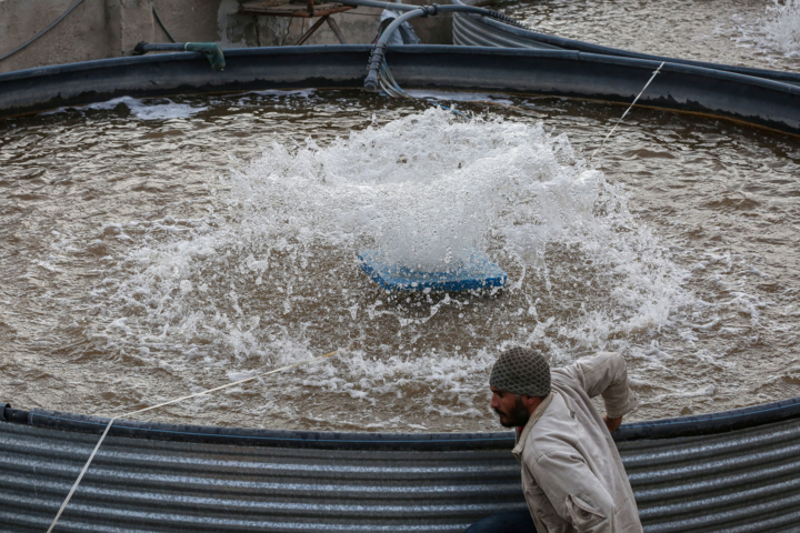 طرح‌های اشتغال‌زایی در خوزستان