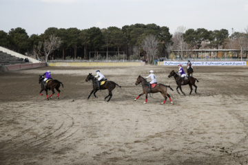 Liga Nacional de Polo en Irán