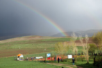 مزرعه گل های لاله در روستای اسپره خون