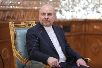 Entretien du président du Parlement iranien avec son homologue irakien à Téhéran 