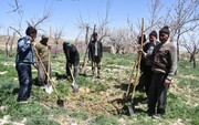 خراسان شمالی در شاخص بیمه‌شدگان فعال صندوق اجتماعی پنجم کشور است