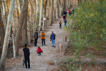 Jardin Pahlavanpour à Mehriz en Iran, un régal pour les yeux