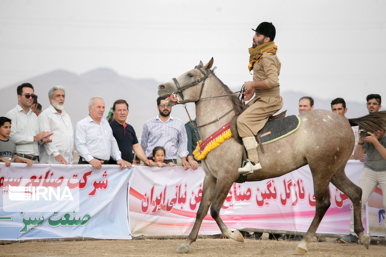 بیش از ۱۰۰ اسب در جشنواره بین‌المللی اسب کُرد نمایش داده می‌شود