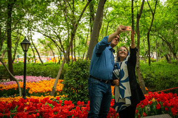 Fiesta de tulipanes en el Jardín Iraní