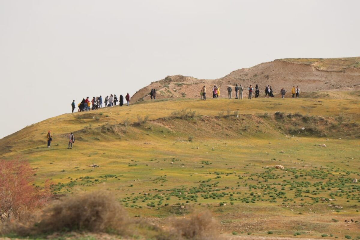 بخش میهمان به جشنواره عکس تالاب نوروزلو میاندوآب اضافه شد