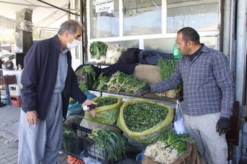 بازار گياهان خوراكي در مهاباد