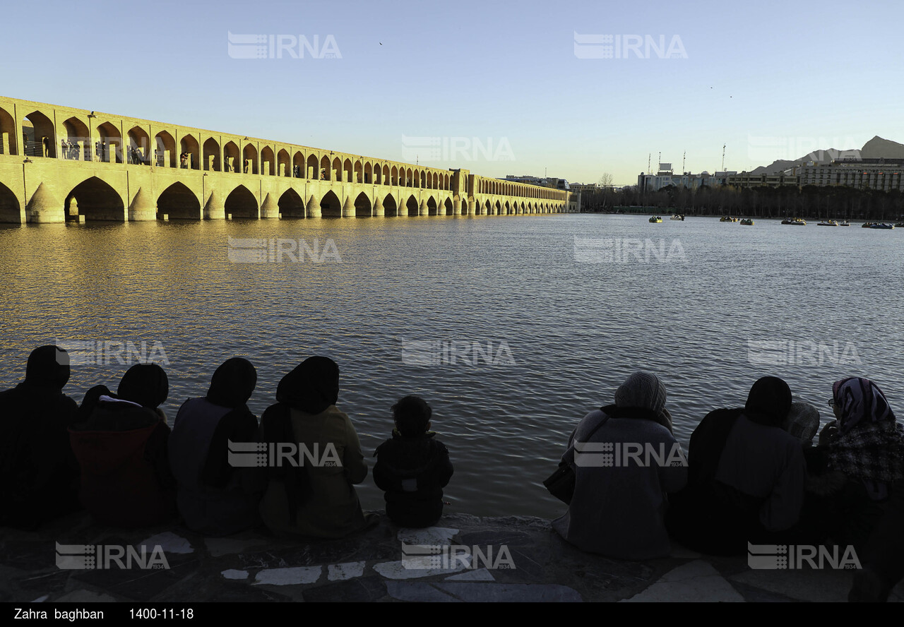 میزبانی زاینده رود از پرندگان مهاجر