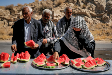 زائران پیاده مشهدالرضا(ع)